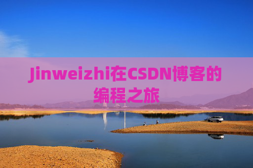 Jinweizhi在CSDN博客的编程之旅